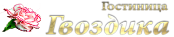 Логотип компании Гвоздика