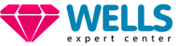 Логотип компании WELLS